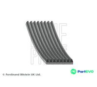 BLUE PRINT V-RIBBED BELT AD08R1956 FOR LAND ROVER