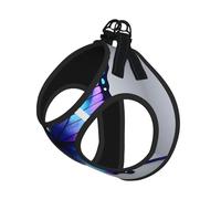 Blue Purple Butterflies Print Pet Leash Vest Reflective Adjustable Soft Mesh Vest Breathable For Daily Walks