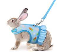 Blue Rabbit Harness and Leash Set, Escape Proof Bunny Harness and Leash, Cute Bunnies Vest Clothes Stuff Accessories - Also Suit for Ferret Kitten Puppy Small Animals, L(Adult Rabbit)