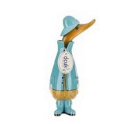 Blue Raincoat Duckling