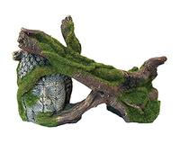 Blue Ribbon MOSS COVERED TREES & RUIN