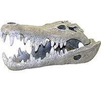 Blue Ribbon Rosewood Nile Crocodile Skull Aquarium Decor, Small, Gray