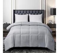 Blue Ridge Home Fashions Comforter Breathable Microfiber Duvet Insert, Summer Cooling Winter Warm Reversible Down Alternative Quilt Comforter for All Season, King, Platinum