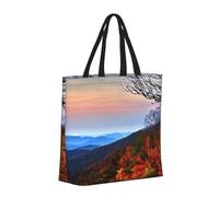 Blue Ridge Mountains Basic Models Tote Bag With Zipper With Inner Pockets,Laptop Work Tote Bag For Sport,Travel