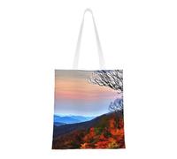 Blue Ridge Mountains Print Functional Bag Reusable Practical Bags Lightweight Foldable Work Travel Gym Beach