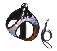 Blue Ridge Mountains Print Soft Mesh Dog Harness and Leash Set Pet Puppy Cat Comfort Padded Vest No Pull Harnesses