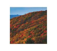 Blue Ridge Parkway Mountains Print Building Brick Block Puzzle Square Creative Building Blocks Jigsaw Home Desk Decor