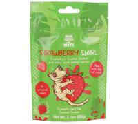 Blue River Diets Complete Crested Gecko Food | All Natural Gecko Food