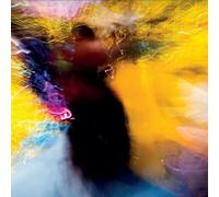 Blue Rose Code - Bright Circumstance [VINYL]