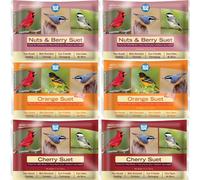 Blue Seal Berry Blend Suet Cakes for Wild Birds - No Mess Suet Feed, Food for Woodpeckers, Cardinals, Siskins, Sparrows & More - 11oz Suet Feeder, Bird Seed Cakes (Variety Pack of 6)