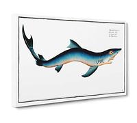 Blue Shark by M.E. Bloch Canvas Print for Living Room Bedroom Home Office Décor, Wall Art Picture Ready to Hang, 30 x 20 Inch (76 x 50 cm)