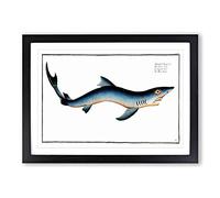 Blue Shark by M.E. Bloch Framed Print | A2 Black Framed Wall Art | Ready to Hang | Modern Animal Picture | Living Room Bedroom Lounge Office