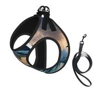 Blue Shark Print Harness Leash Set For Cat Dog, Reflective Adjustable Escape-Proof Vest Lead With Soft Breathable Mesh, For Small Pets And Kitten Puppy