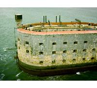 Blue Sharks and the White Falcons