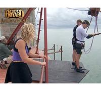 Blue Sharks Vs. Red Vipers