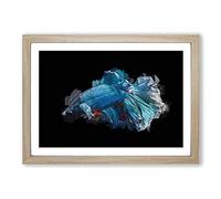 Blue Siamese Fighting Fish in Abstract Framed Print | A2 Oak Framed Wall Art | Ready to Hang | Abstract Animal Picture | Living Room Bedroom Lounge Office