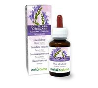 Blue Skullcap or Virginian Skullcap (Scutellaria lateriflora) herb Alcohol-Free Mother Tincture Naturalma - Liquid Extract Drops 60 ml - Food Supplement - Vegan