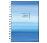 BLUE SKY 2022-2023 Academic Year Weekly & Monthly Planner, 5" x 8", Frosted Flexible Cover, Wirebound, Chanson (128694-A23)