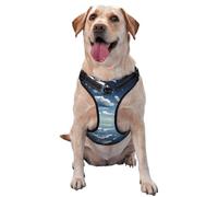 Blue Sky and White Clouds Large Printed pet Traction Vest for Pets to wear When Walking The Dog or Climbing Mountains