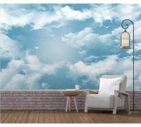 Blue Sky Cloud Wallpaper Mural for Bedroom 300 × 210 cm 3D Panoramic Natural Landscape Wall Mural with Flying Seagulls Non Woven Wallpaper for Kids Room Modern Wall Covering Sky Cloud 300 × 210 Cm