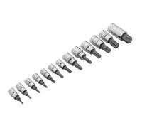 Blue Spot 01503 Torx Bit Socket Set T8-T60 13 Piece