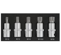 Blue Spot 01509 Spline Bit Set M10-M18 5 Piece Set 1/2 D