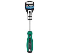 Blue Spot Tools 13006 Slot Screwdriver, Green, 6.5 x 100 mm