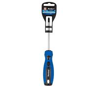 Blue Spot Tools 13014 Screwdriver, Blue, PH2 x 100 mm