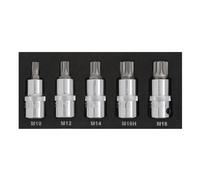 Blue Spot Tools - 5PCE 1/2" Spline Bit Set (M10-M18) (EVA FOAM)