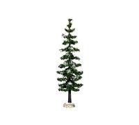 Blue Spruce Tree - Large