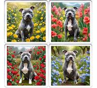 Blue Staffy Coaster Set. 4 different Staffordshire Bull Terrier Dog Pictures on 10cm x 10cm Acrylic Coasters. Boxed Coaster Drip Mat Set.