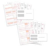 Blue Summit Supplies 1099 Tax Forms 2025, 25 Pack Bundle with 1099-NEC and 1099-MISC Forms, 25 Sets Each, Self-Seal Envelopes, and 1096 Transmittals, Compatible with QuickBooks and Other Tax Software