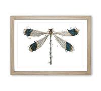 Blue-Tipped Dragonfly by George Shaw Framed Print | A2 Oak Framed Wall Art | Ready to Hang | Modern Animal Picture | Living Room Bedroom Lounge Office
