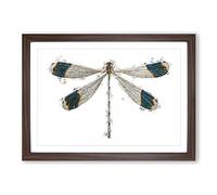 Blue-Tipped Dragonfly by George Shaw Framed Print | A2 Walnut Framed Wall Art | Ready to Hang | Modern Animal Picture | Living Room Bedroom Lounge Office