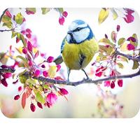 Blue Tit Blossom - Glass Worktop Saver/Protector | Kitchen Cutting Board - by Pearl Glass (50 x 40cm Large)