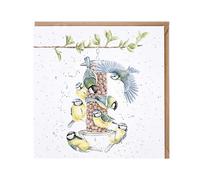 Blue Tits Bird Feeder Birthday Card - Bon Appetit Wrendale Blank Greeting Card