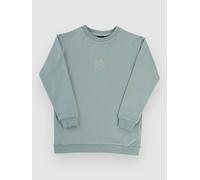 Blue Tomato Mini Logo Crew Kids Sweater iceberg green L