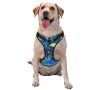 Blue Underwater World of Fish Medium Printed pet Traction Vest for Pets to wear When Walking The Dog or Climbing Mountains