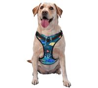 Blue Underwater World of Fish Small Printed pet Traction Vest - Ideal for Dog Walking, Hiking, Daily Travel