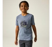 Dare 2b Kids’ Trailblazer III T-Shirt, Cotton, Cotton Blue, Size: 14 Years