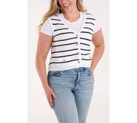 Blue Vanilla Stripe Sleeveless Knit Vest - L - Ivory