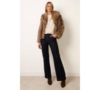 Blue Vanilla Women's Brown Long Sleeve Collar Coat | Size: Medium Blue Vanilla Brown M