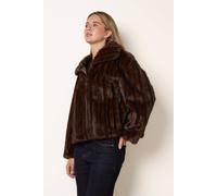 Blue Vanilla Women's Brown Long Sleeve Collar Coat | Size: Medium Blue Vanilla Brown M