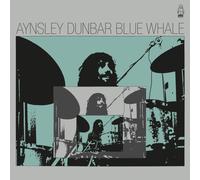 Blue Whale