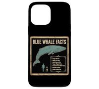 Blue Whale Facts Ocean Animal Science Chart Case for iPhone 13 Pro Max