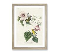 Blue Winged Yellow Warbler Birds By John James Audubon Vintage Framed Print | A2 Oak Framed Wall Art | Ready to Hang | Classic Nature Picture | Living Room Bedroom Lounge Office