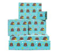 Blue Wrapping Paper - 6 Sheets Of Birthday Gift Wrap - Hippo Swimming - Hippopotamus, Star, Rainbow - For Men Women Kids - Comes With Stickers - By Central 23