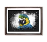Blue & Yellow Macaw Parrot Paint Splash Modern Art Framed Print | A3 Walnut Framed Wall Art | Ready to Hang | Modern Animal Picture | Living Room Bedroom Lounge Office