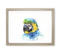 Blue & Yellow Macaw Parrot Watercolour Modern Framed Print | A2 Oak Framed Wall Art | Ready to Hang | Modern Animal Picture | Living Room Bedroom Lounge Office