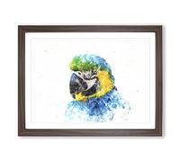 Blue & Yellow Macaw Parrot Watercolour Modern Framed Print | A2 Walnut Framed Wall Art | Ready to Hang | Modern Animal Picture | Living Room Bedroom Lounge Office